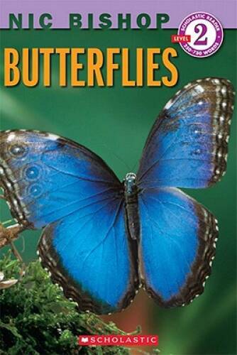Butterflies scholastic - butterflies, (scholastic
