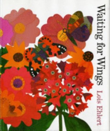 Waiting for wings - waiting,