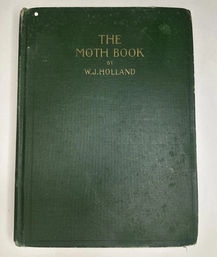 1917 the moth - the,