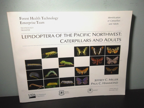 Lepidoptera the pacific - of,