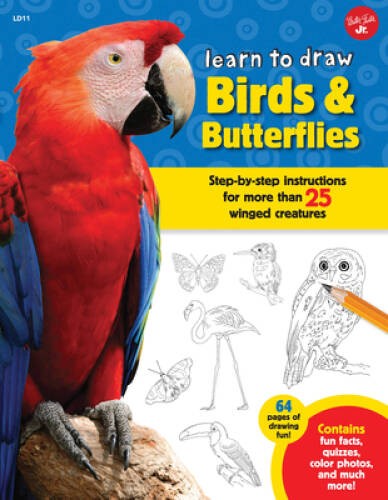 Learn draw birds - to, &