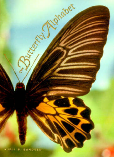 The butterfly alphabet - the,