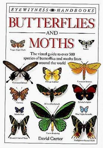 Butterflies and moths - and,